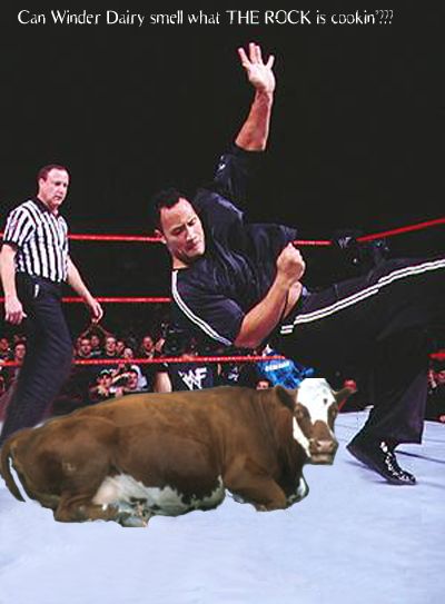 The Rock Beats Down a Cow